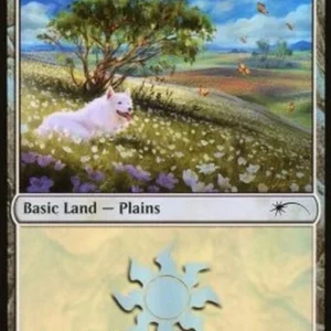 Magic: The Gathering Plains (V.12)