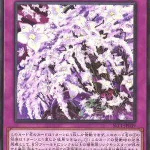 Yu-Gi-Oh! SLT1 Sunavalon Bloom