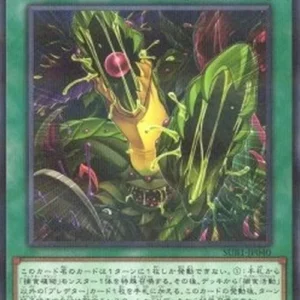 Yu-Gi-Oh! SUB1 Predapractice