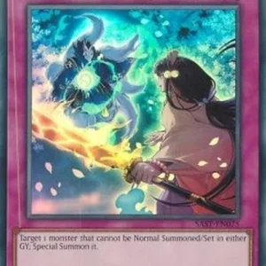 Yu-Gi-Oh! SAST Fateful Hour