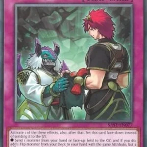 Yu-Gi-Oh! SAST Subterror Succession
