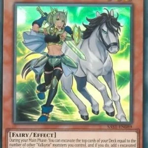 Yu-Gi-Oh! SAST Valkyrie Vierte
