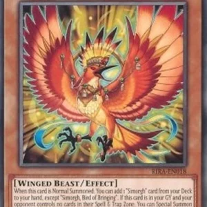 Yu-Gi-Oh! RIRA Simorgh, Bird of Bringing