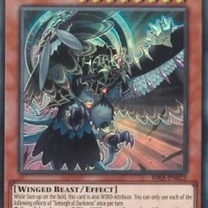 Yu-Gi-Oh! RIRA Simorgh of Darkness