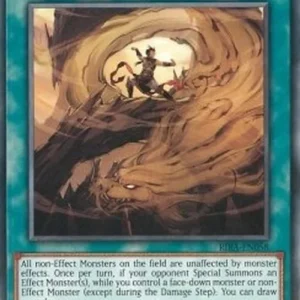 Yu-Gi-Oh! RIRA Flawless Perfection of the Tenyi