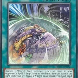 Yu-Gi-Oh! RIRA Simorgh Repulsion