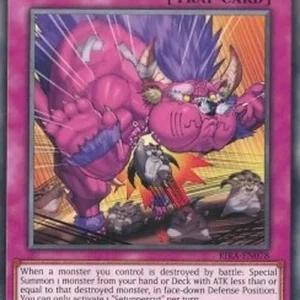 Yu-Gi-Oh! RIRA Setuppercut