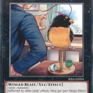 Yu-Gi-Oh! RIRA Kikinagashi Fucho