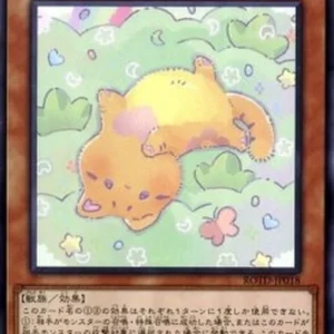 Yu-Gi-Oh! ROTD-JP Melffy Catty