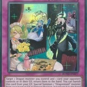 Yu-Gi-Oh! ROTD Dragonmaid Tidying