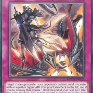 Yu-Gi-Oh! ROTD Dogmatika Punishment