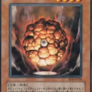 Yu-Gi-Oh! RDS-JP Gaia Soul the Combustible Collective