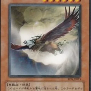 Yu-Gi-Oh! RDS-JP Roc from the Valley of Haze