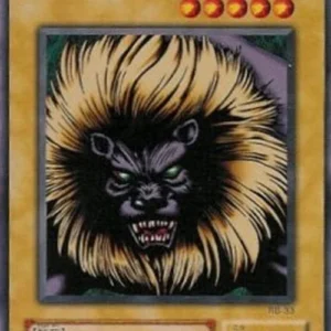 Yu-Gi-Oh! RB Leogun