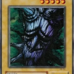 Yu-Gi-Oh! RB Trent