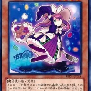 Yu-Gi-Oh! REDU-JP Madolche Magileine