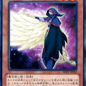 Yu-Gi-Oh! REDU-JP Damage Mage
