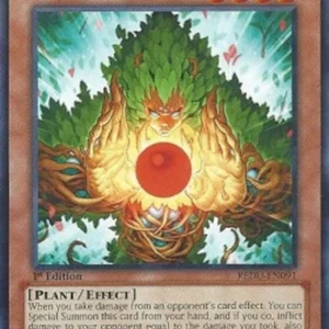 Yu-Gi-Oh! REDU Eco, Mystical Spirit of the Forest
