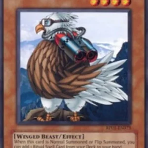 Yu-Gi-Oh! RP01 Sonic Bird (V.1 - Common)