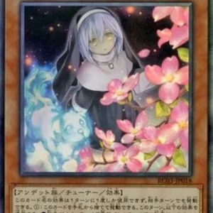 Yu-Gi-Oh! RC03 Ghost Sister & Spooky Dogwood (V.5 - Collectors Rare)