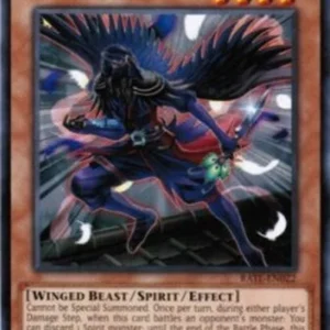 Yu-Gi-Oh! RATE Shinobird Crow