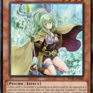 Yu-Gi-Oh! RATE Spiritual Beast Tamer Winda