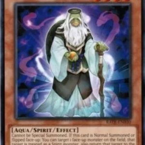 Yu-Gi-Oh! RATE Hebo, Lord of the River