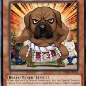 Yu-Gi-Oh! RATE Yokotuner