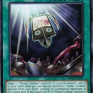 Yu-Gi-Oh! RATE Recardination