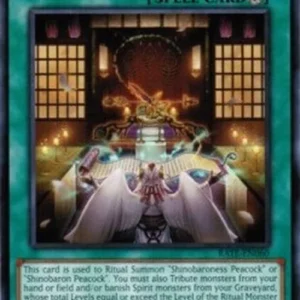 Yu-Gi-Oh! RATE Shinobird's Calling