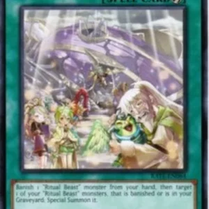Yu-Gi-Oh! RATE Ritual Beast Return