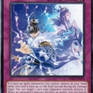 Yu-Gi-Oh! RATE Shinobird Salvation