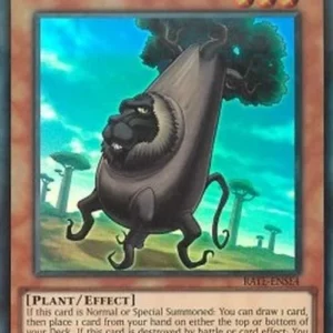 Yu-Gi-Oh! RATE Baobaboon