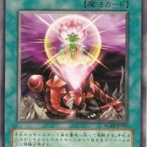 Yu-Gi-Oh! RGBT-JP One for One