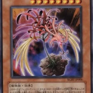 Yu-Gi-Oh! RGBT-JP Phoenixian Cluster Amaryllis
