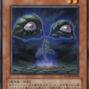 Yu-Gi-Oh! RGBT-JP Dark Verger