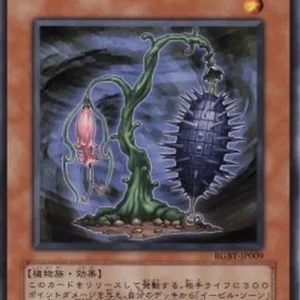 Yu-Gi-Oh! RGBT-JP Evil Thorn