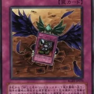 Yu-Gi-Oh! RGBT-JP Fake Feather