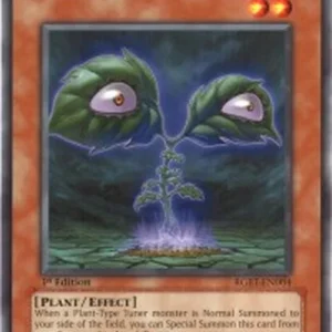 Yu-Gi-Oh! RGBT Dark Verger