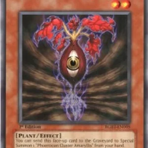 Yu-Gi-Oh! RGBT Phoenixian Seed