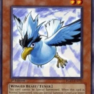 Yu-Gi-Oh! RGBT Blackwing - Blizzard the Far North