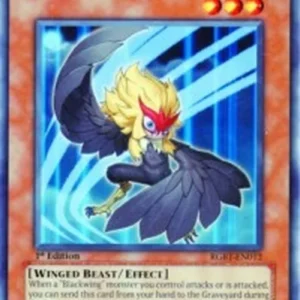 Yu-Gi-Oh! RGBT Blackwing - Kalut the Moon Shadow