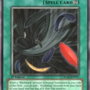 Yu-Gi-Oh! RGBT Black Whirlwind