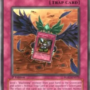 Yu-Gi-Oh! RGBT Fake Feather