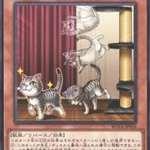 Yu-Gi-Oh! ROTA-JP Flipping Feline