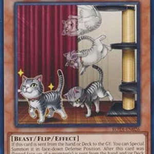 Yu-Gi-Oh! ROTA Flipping Feline