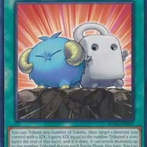 Yu-Gi-Oh! ROTA Token Support
