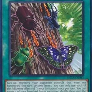 Yu-Gi-Oh! ROTA Insect Invitation