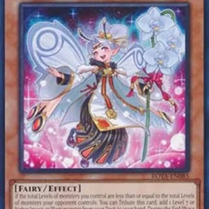 Yu-Gi-Oh! ROTA Phalaenop Sisters