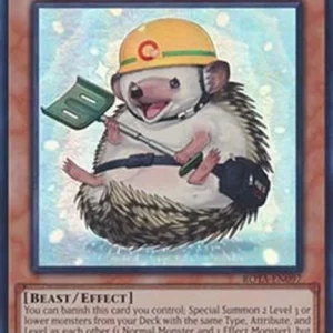 Yu-Gi-Oh! ROTA Rescue Hedgehog